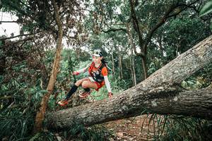 BIB: 
                            <button type="button" onclick="openModal(25542844)" class="btn btn-primary btn-sm float-right btn-popup" data-toggle="modal" data-target=".modal-high-quality">
                        <i class="fas fa-shopping-cart"></i> Add to Cart
                    </button>
                                            <button type="button" onclick="isThisMe(25542844, true)" class="btn btn-success btn-sm float-right btn-popup btn-isme hidden" data-toggle="tooltip" data-placement="bottom" title="นี่คือรูปของคุณใช่ไหม คลิกที่นี่เพื่อเอาเข้าอัลบั้ม">
                        <i class="fas fa-plus"></i> Add to album
                    </button>
                    <button type="button" onclick="isThisMe(25542844, false)" class="btn btn-warning btn-sm float-right btn-popup btn-isnotme hidden">
                        <i class="fas fa-ban"></i> Remove from album
                    </button>