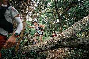 BIB: 
                            <button type="button" onclick="openModal(25532710)" class="btn btn-primary btn-sm float-right btn-popup" data-toggle="modal" data-target=".modal-high-quality">
                        <i class="fas fa-shopping-cart"></i> Add to Cart
                    </button>
                                            <button type="button" onclick="isThisMe(25532710, true)" class="btn btn-success btn-sm float-right btn-popup btn-isme hidden" data-toggle="tooltip" data-placement="bottom" title="นี่คือรูปของคุณใช่ไหม คลิกที่นี่เพื่อเอาเข้าอัลบั้ม">
                        <i class="fas fa-plus"></i> Add to album
                    </button>
                    <button type="button" onclick="isThisMe(25532710, false)" class="btn btn-warning btn-sm float-right btn-popup btn-isnotme hidden">
                        <i class="fas fa-ban"></i> Remove from album
                    </button>