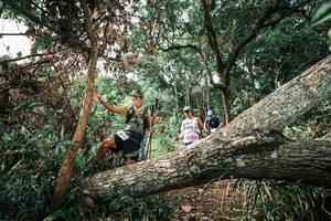 BIB: 
                            <button type="button" onclick="openModal(25537782)" class="btn btn-primary btn-sm float-right btn-popup" data-toggle="modal" data-target=".modal-high-quality">
                        <i class="fas fa-shopping-cart"></i> Add to Cart
                    </button>
                                            <button type="button" onclick="isThisMe(25537782, true)" class="btn btn-success btn-sm float-right btn-popup btn-isme hidden" data-toggle="tooltip" data-placement="bottom" title="นี่คือรูปของคุณใช่ไหม คลิกที่นี่เพื่อเอาเข้าอัลบั้ม">
                        <i class="fas fa-plus"></i> Add to album
                    </button>
                    <button type="button" onclick="isThisMe(25537782, false)" class="btn btn-warning btn-sm float-right btn-popup btn-isnotme hidden">
                        <i class="fas fa-ban"></i> Remove from album
                    </button>