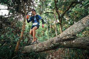 BIB: 
                            <button type="button" onclick="openModal(25526607)" class="btn btn-primary btn-sm float-right btn-popup" data-toggle="modal" data-target=".modal-high-quality">
                        <i class="fas fa-shopping-cart"></i> Add to Cart
                    </button>
                                            <button type="button" onclick="isThisMe(25526607, true)" class="btn btn-success btn-sm float-right btn-popup btn-isme hidden" data-toggle="tooltip" data-placement="bottom" title="นี่คือรูปของคุณใช่ไหม คลิกที่นี่เพื่อเอาเข้าอัลบั้ม">
                        <i class="fas fa-plus"></i> Add to album
                    </button>
                    <button type="button" onclick="isThisMe(25526607, false)" class="btn btn-warning btn-sm float-right btn-popup btn-isnotme hidden">
                        <i class="fas fa-ban"></i> Remove from album
                    </button>