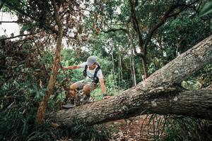 BIB: 
                            <button type="button" onclick="openModal(25532261)" class="btn btn-primary btn-sm float-right btn-popup" data-toggle="modal" data-target=".modal-high-quality">
                        <i class="fas fa-shopping-cart"></i> Add to Cart
                    </button>
                                            <button type="button" onclick="isThisMe(25532261, true)" class="btn btn-success btn-sm float-right btn-popup btn-isme hidden" data-toggle="tooltip" data-placement="bottom" title="นี่คือรูปของคุณใช่ไหม คลิกที่นี่เพื่อเอาเข้าอัลบั้ม">
                        <i class="fas fa-plus"></i> Add to album
                    </button>
                    <button type="button" onclick="isThisMe(25532261, false)" class="btn btn-warning btn-sm float-right btn-popup btn-isnotme hidden">
                        <i class="fas fa-ban"></i> Remove from album
                    </button>