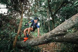 BIB: 
                            <button type="button" onclick="openModal(25540278)" class="btn btn-primary btn-sm float-right btn-popup" data-toggle="modal" data-target=".modal-high-quality">
                        <i class="fas fa-shopping-cart"></i> Add to Cart
                    </button>
                                            <button type="button" onclick="isThisMe(25540278, true)" class="btn btn-success btn-sm float-right btn-popup btn-isme hidden" data-toggle="tooltip" data-placement="bottom" title="นี่คือรูปของคุณใช่ไหม คลิกที่นี่เพื่อเอาเข้าอัลบั้ม">
                        <i class="fas fa-plus"></i> Add to album
                    </button>
                    <button type="button" onclick="isThisMe(25540278, false)" class="btn btn-warning btn-sm float-right btn-popup btn-isnotme hidden">
                        <i class="fas fa-ban"></i> Remove from album
                    </button>