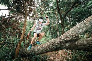 BIB: 
                            <button type="button" onclick="openModal(25545221)" class="btn btn-primary btn-sm float-right btn-popup" data-toggle="modal" data-target=".modal-high-quality">
                        <i class="fas fa-shopping-cart"></i> Add to Cart
                    </button>
                                            <button type="button" onclick="isThisMe(25545221, true)" class="btn btn-success btn-sm float-right btn-popup btn-isme hidden" data-toggle="tooltip" data-placement="bottom" title="นี่คือรูปของคุณใช่ไหม คลิกที่นี่เพื่อเอาเข้าอัลบั้ม">
                        <i class="fas fa-plus"></i> Add to album
                    </button>
                    <button type="button" onclick="isThisMe(25545221, false)" class="btn btn-warning btn-sm float-right btn-popup btn-isnotme hidden">
                        <i class="fas fa-ban"></i> Remove from album
                    </button>