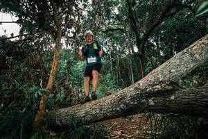 BIB: 
                            <button type="button" onclick="openModal(25551282)" class="btn btn-primary btn-sm float-right btn-popup" data-toggle="modal" data-target=".modal-high-quality">
                        <i class="fas fa-shopping-cart"></i> Add to Cart
                    </button>
                                            <button type="button" onclick="isThisMe(25551282, true)" class="btn btn-success btn-sm float-right btn-popup btn-isme hidden" data-toggle="tooltip" data-placement="bottom" title="นี่คือรูปของคุณใช่ไหม คลิกที่นี่เพื่อเอาเข้าอัลบั้ม">
                        <i class="fas fa-plus"></i> Add to album
                    </button>
                    <button type="button" onclick="isThisMe(25551282, false)" class="btn btn-warning btn-sm float-right btn-popup btn-isnotme hidden">
                        <i class="fas fa-ban"></i> Remove from album
                    </button>