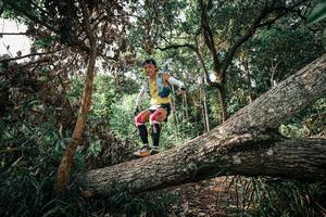 BIB: 
                            <button type="button" onclick="openModal(25534331)" class="btn btn-primary btn-sm float-right btn-popup" data-toggle="modal" data-target=".modal-high-quality">
                        <i class="fas fa-shopping-cart"></i> Add to Cart
                    </button>
                                            <button type="button" onclick="isThisMe(25534331, true)" class="btn btn-success btn-sm float-right btn-popup btn-isme hidden" data-toggle="tooltip" data-placement="bottom" title="นี่คือรูปของคุณใช่ไหม คลิกที่นี่เพื่อเอาเข้าอัลบั้ม">
                        <i class="fas fa-plus"></i> Add to album
                    </button>
                    <button type="button" onclick="isThisMe(25534331, false)" class="btn btn-warning btn-sm float-right btn-popup btn-isnotme hidden">
                        <i class="fas fa-ban"></i> Remove from album
                    </button>