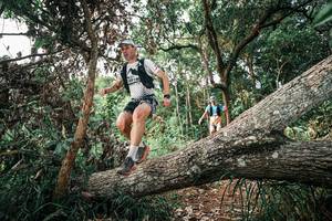 BIB: 
                            <button type="button" onclick="openModal(25529137)" class="btn btn-primary btn-sm float-right btn-popup" data-toggle="modal" data-target=".modal-high-quality">
                        <i class="fas fa-shopping-cart"></i> Add to Cart
                    </button>
                                            <button type="button" onclick="isThisMe(25529137, true)" class="btn btn-success btn-sm float-right btn-popup btn-isme hidden" data-toggle="tooltip" data-placement="bottom" title="นี่คือรูปของคุณใช่ไหม คลิกที่นี่เพื่อเอาเข้าอัลบั้ม">
                        <i class="fas fa-plus"></i> Add to album
                    </button>
                    <button type="button" onclick="isThisMe(25529137, false)" class="btn btn-warning btn-sm float-right btn-popup btn-isnotme hidden">
                        <i class="fas fa-ban"></i> Remove from album
                    </button>