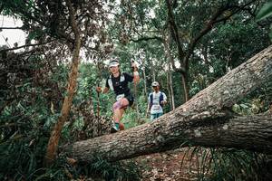 BIB: 
                            <button type="button" onclick="openModal(25530895)" class="btn btn-primary btn-sm float-right btn-popup" data-toggle="modal" data-target=".modal-high-quality">
                        <i class="fas fa-shopping-cart"></i> Add to Cart
                    </button>
                                            <button type="button" onclick="isThisMe(25530895, true)" class="btn btn-success btn-sm float-right btn-popup btn-isme hidden" data-toggle="tooltip" data-placement="bottom" title="นี่คือรูปของคุณใช่ไหม คลิกที่นี่เพื่อเอาเข้าอัลบั้ม">
                        <i class="fas fa-plus"></i> Add to album
                    </button>
                    <button type="button" onclick="isThisMe(25530895, false)" class="btn btn-warning btn-sm float-right btn-popup btn-isnotme hidden">
                        <i class="fas fa-ban"></i> Remove from album
                    </button>