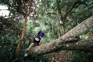 BIB: 
                            <button type="button" onclick="openModal(25527570)" class="btn btn-primary btn-sm float-right btn-popup" data-toggle="modal" data-target=".modal-high-quality">
                        <i class="fas fa-shopping-cart"></i> Add to Cart
                    </button>
                                            <button type="button" onclick="isThisMe(25527570, true)" class="btn btn-success btn-sm float-right btn-popup btn-isme hidden" data-toggle="tooltip" data-placement="bottom" title="นี่คือรูปของคุณใช่ไหม คลิกที่นี่เพื่อเอาเข้าอัลบั้ม">
                        <i class="fas fa-plus"></i> Add to album
                    </button>
                    <button type="button" onclick="isThisMe(25527570, false)" class="btn btn-warning btn-sm float-right btn-popup btn-isnotme hidden">
                        <i class="fas fa-ban"></i> Remove from album
                    </button>