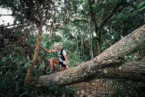 BIB: 
                            <button type="button" onclick="openModal(25528376)" class="btn btn-primary btn-sm float-right btn-popup" data-toggle="modal" data-target=".modal-high-quality">
                        <i class="fas fa-shopping-cart"></i> Add to Cart
                    </button>
                                            <button type="button" onclick="isThisMe(25528376, true)" class="btn btn-success btn-sm float-right btn-popup btn-isme hidden" data-toggle="tooltip" data-placement="bottom" title="นี่คือรูปของคุณใช่ไหม คลิกที่นี่เพื่อเอาเข้าอัลบั้ม">
                        <i class="fas fa-plus"></i> Add to album
                    </button>
                    <button type="button" onclick="isThisMe(25528376, false)" class="btn btn-warning btn-sm float-right btn-popup btn-isnotme hidden">
                        <i class="fas fa-ban"></i> Remove from album
                    </button>