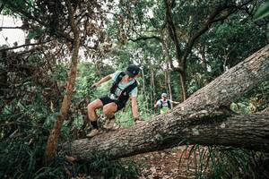 BIB: 
                            <button type="button" onclick="openModal(25531833)" class="btn btn-primary btn-sm float-right btn-popup" data-toggle="modal" data-target=".modal-high-quality">
                        <i class="fas fa-shopping-cart"></i> Add to Cart
                    </button>
                                            <button type="button" onclick="isThisMe(25531833, true)" class="btn btn-success btn-sm float-right btn-popup btn-isme hidden" data-toggle="tooltip" data-placement="bottom" title="นี่คือรูปของคุณใช่ไหม คลิกที่นี่เพื่อเอาเข้าอัลบั้ม">
                        <i class="fas fa-plus"></i> Add to album
                    </button>
                    <button type="button" onclick="isThisMe(25531833, false)" class="btn btn-warning btn-sm float-right btn-popup btn-isnotme hidden">
                        <i class="fas fa-ban"></i> Remove from album
                    </button>