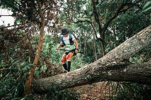 BIB: 
                            <button type="button" onclick="openModal(25545906)" class="btn btn-primary btn-sm float-right btn-popup" data-toggle="modal" data-target=".modal-high-quality">
                        <i class="fas fa-shopping-cart"></i> Add to Cart
                    </button>
                                            <button type="button" onclick="isThisMe(25545906, true)" class="btn btn-success btn-sm float-right btn-popup btn-isme hidden" data-toggle="tooltip" data-placement="bottom" title="นี่คือรูปของคุณใช่ไหม คลิกที่นี่เพื่อเอาเข้าอัลบั้ม">
                        <i class="fas fa-plus"></i> Add to album
                    </button>
                    <button type="button" onclick="isThisMe(25545906, false)" class="btn btn-warning btn-sm float-right btn-popup btn-isnotme hidden">
                        <i class="fas fa-ban"></i> Remove from album
                    </button>