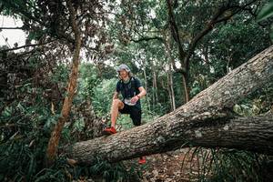 BIB: 
                            <button type="button" onclick="openModal(25531618)" class="btn btn-primary btn-sm float-right btn-popup" data-toggle="modal" data-target=".modal-high-quality">
                        <i class="fas fa-shopping-cart"></i> Add to Cart
                    </button>
                                            <button type="button" onclick="isThisMe(25531618, true)" class="btn btn-success btn-sm float-right btn-popup btn-isme hidden" data-toggle="tooltip" data-placement="bottom" title="นี่คือรูปของคุณใช่ไหม คลิกที่นี่เพื่อเอาเข้าอัลบั้ม">
                        <i class="fas fa-plus"></i> Add to album
                    </button>
                    <button type="button" onclick="isThisMe(25531618, false)" class="btn btn-warning btn-sm float-right btn-popup btn-isnotme hidden">
                        <i class="fas fa-ban"></i> Remove from album
                    </button>