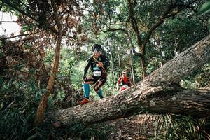 BIB: 
                            <button type="button" onclick="openModal(25534523)" class="btn btn-primary btn-sm float-right btn-popup" data-toggle="modal" data-target=".modal-high-quality">
                        <i class="fas fa-shopping-cart"></i> Add to Cart
                    </button>
                                            <button type="button" onclick="isThisMe(25534523, true)" class="btn btn-success btn-sm float-right btn-popup btn-isme hidden" data-toggle="tooltip" data-placement="bottom" title="นี่คือรูปของคุณใช่ไหม คลิกที่นี่เพื่อเอาเข้าอัลบั้ม">
                        <i class="fas fa-plus"></i> Add to album
                    </button>
                    <button type="button" onclick="isThisMe(25534523, false)" class="btn btn-warning btn-sm float-right btn-popup btn-isnotme hidden">
                        <i class="fas fa-ban"></i> Remove from album
                    </button>