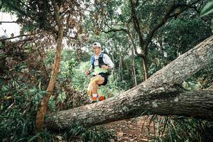 BIB: 
                            <button type="button" onclick="openModal(25541081)" class="btn btn-primary btn-sm float-right btn-popup" data-toggle="modal" data-target=".modal-high-quality">
                        <i class="fas fa-shopping-cart"></i> Add to Cart
                    </button>
                                            <button type="button" onclick="isThisMe(25541081, true)" class="btn btn-success btn-sm float-right btn-popup btn-isme hidden" data-toggle="tooltip" data-placement="bottom" title="นี่คือรูปของคุณใช่ไหม คลิกที่นี่เพื่อเอาเข้าอัลบั้ม">
                        <i class="fas fa-plus"></i> Add to album
                    </button>
                    <button type="button" onclick="isThisMe(25541081, false)" class="btn btn-warning btn-sm float-right btn-popup btn-isnotme hidden">
                        <i class="fas fa-ban"></i> Remove from album
                    </button>