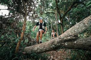 BIB: 
                            <button type="button" onclick="openModal(25528256)" class="btn btn-primary btn-sm float-right btn-popup" data-toggle="modal" data-target=".modal-high-quality">
                        <i class="fas fa-shopping-cart"></i> Add to Cart
                    </button>
                                            <button type="button" onclick="isThisMe(25528256, true)" class="btn btn-success btn-sm float-right btn-popup btn-isme hidden" data-toggle="tooltip" data-placement="bottom" title="นี่คือรูปของคุณใช่ไหม คลิกที่นี่เพื่อเอาเข้าอัลบั้ม">
                        <i class="fas fa-plus"></i> Add to album
                    </button>
                    <button type="button" onclick="isThisMe(25528256, false)" class="btn btn-warning btn-sm float-right btn-popup btn-isnotme hidden">
                        <i class="fas fa-ban"></i> Remove from album
                    </button>