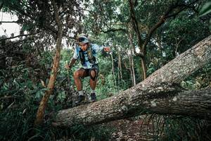 BIB: 
                            <button type="button" onclick="openModal(25527914)" class="btn btn-primary btn-sm float-right btn-popup" data-toggle="modal" data-target=".modal-high-quality">
                        <i class="fas fa-shopping-cart"></i> Add to Cart
                    </button>
                                            <button type="button" onclick="isThisMe(25527914, true)" class="btn btn-success btn-sm float-right btn-popup btn-isme hidden" data-toggle="tooltip" data-placement="bottom" title="นี่คือรูปของคุณใช่ไหม คลิกที่นี่เพื่อเอาเข้าอัลบั้ม">
                        <i class="fas fa-plus"></i> Add to album
                    </button>
                    <button type="button" onclick="isThisMe(25527914, false)" class="btn btn-warning btn-sm float-right btn-popup btn-isnotme hidden">
                        <i class="fas fa-ban"></i> Remove from album
                    </button>