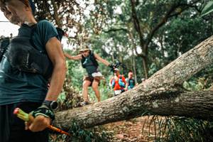 BIB: 
                            <button type="button" onclick="openModal(25545690)" class="btn btn-primary btn-sm float-right btn-popup" data-toggle="modal" data-target=".modal-high-quality">
                        <i class="fas fa-shopping-cart"></i> Add to Cart
                    </button>
                                            <button type="button" onclick="isThisMe(25545690, true)" class="btn btn-success btn-sm float-right btn-popup btn-isme hidden" data-toggle="tooltip" data-placement="bottom" title="นี่คือรูปของคุณใช่ไหม คลิกที่นี่เพื่อเอาเข้าอัลบั้ม">
                        <i class="fas fa-plus"></i> Add to album
                    </button>
                    <button type="button" onclick="isThisMe(25545690, false)" class="btn btn-warning btn-sm float-right btn-popup btn-isnotme hidden">
                        <i class="fas fa-ban"></i> Remove from album
                    </button>