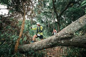 BIB: 
                            <button type="button" onclick="openModal(25540705)" class="btn btn-primary btn-sm float-right btn-popup" data-toggle="modal" data-target=".modal-high-quality">
                        <i class="fas fa-shopping-cart"></i> Add to Cart
                    </button>
                                            <button type="button" onclick="isThisMe(25540705, true)" class="btn btn-success btn-sm float-right btn-popup btn-isme hidden" data-toggle="tooltip" data-placement="bottom" title="นี่คือรูปของคุณใช่ไหม คลิกที่นี่เพื่อเอาเข้าอัลบั้ม">
                        <i class="fas fa-plus"></i> Add to album
                    </button>
                    <button type="button" onclick="isThisMe(25540705, false)" class="btn btn-warning btn-sm float-right btn-popup btn-isnotme hidden">
                        <i class="fas fa-ban"></i> Remove from album
                    </button>