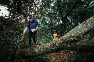 BIB: 
                            <button type="button" onclick="openModal(25550388)" class="btn btn-primary btn-sm float-right btn-popup" data-toggle="modal" data-target=".modal-high-quality">
                        <i class="fas fa-shopping-cart"></i> Add to Cart
                    </button>
                                            <button type="button" onclick="isThisMe(25550388, true)" class="btn btn-success btn-sm float-right btn-popup btn-isme hidden" data-toggle="tooltip" data-placement="bottom" title="นี่คือรูปของคุณใช่ไหม คลิกที่นี่เพื่อเอาเข้าอัลบั้ม">
                        <i class="fas fa-plus"></i> Add to album
                    </button>
                    <button type="button" onclick="isThisMe(25550388, false)" class="btn btn-warning btn-sm float-right btn-popup btn-isnotme hidden">
                        <i class="fas fa-ban"></i> Remove from album
                    </button>