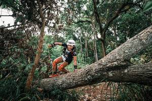 BIB: 
                            <button type="button" onclick="openModal(25530452)" class="btn btn-primary btn-sm float-right btn-popup" data-toggle="modal" data-target=".modal-high-quality">
                        <i class="fas fa-shopping-cart"></i> Add to Cart
                    </button>
                                            <button type="button" onclick="isThisMe(25530452, true)" class="btn btn-success btn-sm float-right btn-popup btn-isme hidden" data-toggle="tooltip" data-placement="bottom" title="นี่คือรูปของคุณใช่ไหม คลิกที่นี่เพื่อเอาเข้าอัลบั้ม">
                        <i class="fas fa-plus"></i> Add to album
                    </button>
                    <button type="button" onclick="isThisMe(25530452, false)" class="btn btn-warning btn-sm float-right btn-popup btn-isnotme hidden">
                        <i class="fas fa-ban"></i> Remove from album
                    </button>