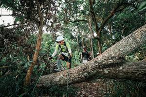 BIB: 
                            <button type="button" onclick="openModal(25528635)" class="btn btn-primary btn-sm float-right btn-popup" data-toggle="modal" data-target=".modal-high-quality">
                        <i class="fas fa-shopping-cart"></i> Add to Cart
                    </button>
                                            <button type="button" onclick="isThisMe(25528635, true)" class="btn btn-success btn-sm float-right btn-popup btn-isme hidden" data-toggle="tooltip" data-placement="bottom" title="นี่คือรูปของคุณใช่ไหม คลิกที่นี่เพื่อเอาเข้าอัลบั้ม">
                        <i class="fas fa-plus"></i> Add to album
                    </button>
                    <button type="button" onclick="isThisMe(25528635, false)" class="btn btn-warning btn-sm float-right btn-popup btn-isnotme hidden">
                        <i class="fas fa-ban"></i> Remove from album
                    </button>