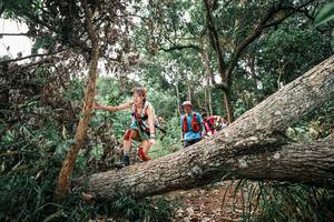 BIB: 
                            <button type="button" onclick="openModal(25529400)" class="btn btn-primary btn-sm float-right btn-popup" data-toggle="modal" data-target=".modal-high-quality">
                        <i class="fas fa-shopping-cart"></i> Add to Cart
                    </button>
                                            <button type="button" onclick="isThisMe(25529400, true)" class="btn btn-success btn-sm float-right btn-popup btn-isme hidden" data-toggle="tooltip" data-placement="bottom" title="นี่คือรูปของคุณใช่ไหม คลิกที่นี่เพื่อเอาเข้าอัลบั้ม">
                        <i class="fas fa-plus"></i> Add to album
                    </button>
                    <button type="button" onclick="isThisMe(25529400, false)" class="btn btn-warning btn-sm float-right btn-popup btn-isnotme hidden">
                        <i class="fas fa-ban"></i> Remove from album
                    </button>