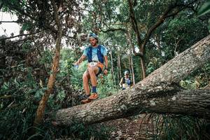 BIB: 
                            <button type="button" onclick="openModal(25528099)" class="btn btn-primary btn-sm float-right btn-popup" data-toggle="modal" data-target=".modal-high-quality">
                        <i class="fas fa-shopping-cart"></i> Add to Cart
                    </button>
                                            <button type="button" onclick="isThisMe(25528099, true)" class="btn btn-success btn-sm float-right btn-popup btn-isme hidden" data-toggle="tooltip" data-placement="bottom" title="นี่คือรูปของคุณใช่ไหม คลิกที่นี่เพื่อเอาเข้าอัลบั้ม">
                        <i class="fas fa-plus"></i> Add to album
                    </button>
                    <button type="button" onclick="isThisMe(25528099, false)" class="btn btn-warning btn-sm float-right btn-popup btn-isnotme hidden">
                        <i class="fas fa-ban"></i> Remove from album
                    </button>