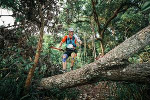 BIB: 
                            <button type="button" onclick="openModal(25526790)" class="btn btn-primary btn-sm float-right btn-popup" data-toggle="modal" data-target=".modal-high-quality">
                        <i class="fas fa-shopping-cart"></i> Add to Cart
                    </button>
                                            <button type="button" onclick="isThisMe(25526790, true)" class="btn btn-success btn-sm float-right btn-popup btn-isme hidden" data-toggle="tooltip" data-placement="bottom" title="นี่คือรูปของคุณใช่ไหม คลิกที่นี่เพื่อเอาเข้าอัลบั้ม">
                        <i class="fas fa-plus"></i> Add to album
                    </button>
                    <button type="button" onclick="isThisMe(25526790, false)" class="btn btn-warning btn-sm float-right btn-popup btn-isnotme hidden">
                        <i class="fas fa-ban"></i> Remove from album
                    </button>