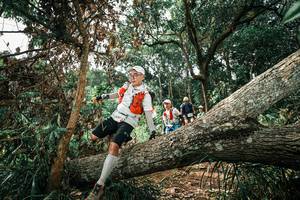 BIB: 
                            <button type="button" onclick="openModal(25549327)" class="btn btn-primary btn-sm float-right btn-popup" data-toggle="modal" data-target=".modal-high-quality">
                        <i class="fas fa-shopping-cart"></i> Add to Cart
                    </button>
                                            <button type="button" onclick="isThisMe(25549327, true)" class="btn btn-success btn-sm float-right btn-popup btn-isme hidden" data-toggle="tooltip" data-placement="bottom" title="นี่คือรูปของคุณใช่ไหม คลิกที่นี่เพื่อเอาเข้าอัลบั้ม">
                        <i class="fas fa-plus"></i> Add to album
                    </button>
                    <button type="button" onclick="isThisMe(25549327, false)" class="btn btn-warning btn-sm float-right btn-popup btn-isnotme hidden">
                        <i class="fas fa-ban"></i> Remove from album
                    </button>