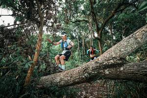 BIB: 
                            <button type="button" onclick="openModal(25527355)" class="btn btn-primary btn-sm float-right btn-popup" data-toggle="modal" data-target=".modal-high-quality">
                        <i class="fas fa-shopping-cart"></i> Add to Cart
                    </button>
                                            <button type="button" onclick="isThisMe(25527355, true)" class="btn btn-success btn-sm float-right btn-popup btn-isme hidden" data-toggle="tooltip" data-placement="bottom" title="นี่คือรูปของคุณใช่ไหม คลิกที่นี่เพื่อเอาเข้าอัลบั้ม">
                        <i class="fas fa-plus"></i> Add to album
                    </button>
                    <button type="button" onclick="isThisMe(25527355, false)" class="btn btn-warning btn-sm float-right btn-popup btn-isnotme hidden">
                        <i class="fas fa-ban"></i> Remove from album
                    </button>