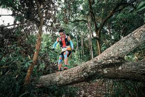 BIB: 
                            <button type="button" onclick="openModal(25527381)" class="btn btn-primary btn-sm float-right btn-popup" data-toggle="modal" data-target=".modal-high-quality">
                        <i class="fas fa-shopping-cart"></i> Add to Cart
                    </button>
                                            <button type="button" onclick="isThisMe(25527381, true)" class="btn btn-success btn-sm float-right btn-popup btn-isme hidden" data-toggle="tooltip" data-placement="bottom" title="นี่คือรูปของคุณใช่ไหม คลิกที่นี่เพื่อเอาเข้าอัลบั้ม">
                        <i class="fas fa-plus"></i> Add to album
                    </button>
                    <button type="button" onclick="isThisMe(25527381, false)" class="btn btn-warning btn-sm float-right btn-popup btn-isnotme hidden">
                        <i class="fas fa-ban"></i> Remove from album
                    </button>