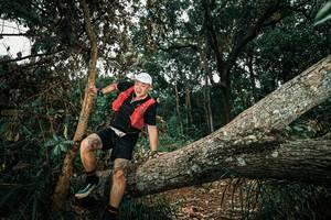 BIB: 
                            <button type="button" onclick="openModal(25552193)" class="btn btn-primary btn-sm float-right btn-popup" data-toggle="modal" data-target=".modal-high-quality">
                        <i class="fas fa-shopping-cart"></i> Add to Cart
                    </button>
                                            <button type="button" onclick="isThisMe(25552193, true)" class="btn btn-success btn-sm float-right btn-popup btn-isme hidden" data-toggle="tooltip" data-placement="bottom" title="นี่คือรูปของคุณใช่ไหม คลิกที่นี่เพื่อเอาเข้าอัลบั้ม">
                        <i class="fas fa-plus"></i> Add to album
                    </button>
                    <button type="button" onclick="isThisMe(25552193, false)" class="btn btn-warning btn-sm float-right btn-popup btn-isnotme hidden">
                        <i class="fas fa-ban"></i> Remove from album
                    </button>