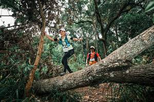 BIB: 
                            <button type="button" onclick="openModal(25547526)" class="btn btn-primary btn-sm float-right btn-popup" data-toggle="modal" data-target=".modal-high-quality">
                        <i class="fas fa-shopping-cart"></i> Add to Cart
                    </button>
                                            <button type="button" onclick="isThisMe(25547526, true)" class="btn btn-success btn-sm float-right btn-popup btn-isme hidden" data-toggle="tooltip" data-placement="bottom" title="นี่คือรูปของคุณใช่ไหม คลิกที่นี่เพื่อเอาเข้าอัลบั้ม">
                        <i class="fas fa-plus"></i> Add to album
                    </button>
                    <button type="button" onclick="isThisMe(25547526, false)" class="btn btn-warning btn-sm float-right btn-popup btn-isnotme hidden">
                        <i class="fas fa-ban"></i> Remove from album
                    </button>