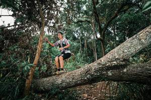 BIB: 
                            <button type="button" onclick="openModal(25544153)" class="btn btn-primary btn-sm float-right btn-popup" data-toggle="modal" data-target=".modal-high-quality">
                        <i class="fas fa-shopping-cart"></i> Add to Cart
                    </button>
                                            <button type="button" onclick="isThisMe(25544153, true)" class="btn btn-success btn-sm float-right btn-popup btn-isme hidden" data-toggle="tooltip" data-placement="bottom" title="นี่คือรูปของคุณใช่ไหม คลิกที่นี่เพื่อเอาเข้าอัลบั้ม">
                        <i class="fas fa-plus"></i> Add to album
                    </button>
                    <button type="button" onclick="isThisMe(25544153, false)" class="btn btn-warning btn-sm float-right btn-popup btn-isnotme hidden">
                        <i class="fas fa-ban"></i> Remove from album
                    </button>