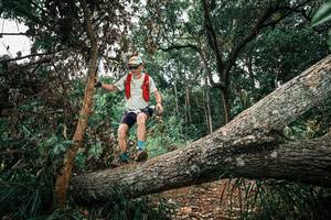 BIB: 
                            <button type="button" onclick="openModal(25545999)" class="btn btn-primary btn-sm float-right btn-popup" data-toggle="modal" data-target=".modal-high-quality">
                        <i class="fas fa-shopping-cart"></i> Add to Cart
                    </button>
                                            <button type="button" onclick="isThisMe(25545999, true)" class="btn btn-success btn-sm float-right btn-popup btn-isme hidden" data-toggle="tooltip" data-placement="bottom" title="นี่คือรูปของคุณใช่ไหม คลิกที่นี่เพื่อเอาเข้าอัลบั้ม">
                        <i class="fas fa-plus"></i> Add to album
                    </button>
                    <button type="button" onclick="isThisMe(25545999, false)" class="btn btn-warning btn-sm float-right btn-popup btn-isnotme hidden">
                        <i class="fas fa-ban"></i> Remove from album
                    </button>