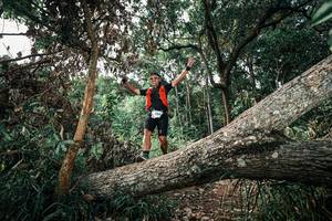 BIB: 
                            <button type="button" onclick="openModal(25535597)" class="btn btn-primary btn-sm float-right btn-popup" data-toggle="modal" data-target=".modal-high-quality">
                        <i class="fas fa-shopping-cart"></i> Add to Cart
                    </button>
                                            <button type="button" onclick="isThisMe(25535597, true)" class="btn btn-success btn-sm float-right btn-popup btn-isme hidden" data-toggle="tooltip" data-placement="bottom" title="นี่คือรูปของคุณใช่ไหม คลิกที่นี่เพื่อเอาเข้าอัลบั้ม">
                        <i class="fas fa-plus"></i> Add to album
                    </button>
                    <button type="button" onclick="isThisMe(25535597, false)" class="btn btn-warning btn-sm float-right btn-popup btn-isnotme hidden">
                        <i class="fas fa-ban"></i> Remove from album
                    </button>