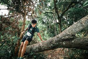 BIB: 
                            <button type="button" onclick="openModal(25543765)" class="btn btn-primary btn-sm float-right btn-popup" data-toggle="modal" data-target=".modal-high-quality">
                        <i class="fas fa-shopping-cart"></i> Add to Cart
                    </button>
                                            <button type="button" onclick="isThisMe(25543765, true)" class="btn btn-success btn-sm float-right btn-popup btn-isme hidden" data-toggle="tooltip" data-placement="bottom" title="นี่คือรูปของคุณใช่ไหม คลิกที่นี่เพื่อเอาเข้าอัลบั้ม">
                        <i class="fas fa-plus"></i> Add to album
                    </button>
                    <button type="button" onclick="isThisMe(25543765, false)" class="btn btn-warning btn-sm float-right btn-popup btn-isnotme hidden">
                        <i class="fas fa-ban"></i> Remove from album
                    </button>