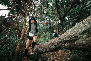 BIB: 
                            <button type="button" onclick="openModal(25536825)" class="btn btn-primary btn-sm float-right btn-popup" data-toggle="modal" data-target=".modal-high-quality">
                        <i class="fas fa-shopping-cart"></i> Add to Cart
                    </button>
                                            <button type="button" onclick="isThisMe(25536825, true)" class="btn btn-success btn-sm float-right btn-popup btn-isme hidden" data-toggle="tooltip" data-placement="bottom" title="นี่คือรูปของคุณใช่ไหม คลิกที่นี่เพื่อเอาเข้าอัลบั้ม">
                        <i class="fas fa-plus"></i> Add to album
                    </button>
                    <button type="button" onclick="isThisMe(25536825, false)" class="btn btn-warning btn-sm float-right btn-popup btn-isnotme hidden">
                        <i class="fas fa-ban"></i> Remove from album
                    </button>