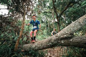 BIB: 
                            <button type="button" onclick="openModal(25529730)" class="btn btn-primary btn-sm float-right btn-popup" data-toggle="modal" data-target=".modal-high-quality">
                        <i class="fas fa-shopping-cart"></i> Add to Cart
                    </button>
                                            <button type="button" onclick="isThisMe(25529730, true)" class="btn btn-success btn-sm float-right btn-popup btn-isme hidden" data-toggle="tooltip" data-placement="bottom" title="นี่คือรูปของคุณใช่ไหม คลิกที่นี่เพื่อเอาเข้าอัลบั้ม">
                        <i class="fas fa-plus"></i> Add to album
                    </button>
                    <button type="button" onclick="isThisMe(25529730, false)" class="btn btn-warning btn-sm float-right btn-popup btn-isnotme hidden">
                        <i class="fas fa-ban"></i> Remove from album
                    </button>