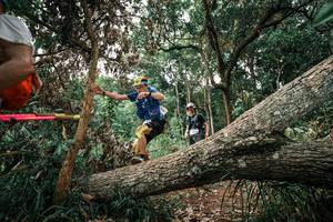 BIB: 
                            <button type="button" onclick="openModal(25531585)" class="btn btn-primary btn-sm float-right btn-popup" data-toggle="modal" data-target=".modal-high-quality">
                        <i class="fas fa-shopping-cart"></i> Add to Cart
                    </button>
                                            <button type="button" onclick="isThisMe(25531585, true)" class="btn btn-success btn-sm float-right btn-popup btn-isme hidden" data-toggle="tooltip" data-placement="bottom" title="นี่คือรูปของคุณใช่ไหม คลิกที่นี่เพื่อเอาเข้าอัลบั้ม">
                        <i class="fas fa-plus"></i> Add to album
                    </button>
                    <button type="button" onclick="isThisMe(25531585, false)" class="btn btn-warning btn-sm float-right btn-popup btn-isnotme hidden">
                        <i class="fas fa-ban"></i> Remove from album
                    </button>