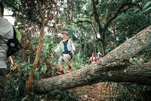 BIB: 
                            <button type="button" onclick="openModal(25543523)" class="btn btn-primary btn-sm float-right btn-popup" data-toggle="modal" data-target=".modal-high-quality">
                        <i class="fas fa-shopping-cart"></i> Add to Cart
                    </button>
                                            <button type="button" onclick="isThisMe(25543523, true)" class="btn btn-success btn-sm float-right btn-popup btn-isme hidden" data-toggle="tooltip" data-placement="bottom" title="นี่คือรูปของคุณใช่ไหม คลิกที่นี่เพื่อเอาเข้าอัลบั้ม">
                        <i class="fas fa-plus"></i> Add to album
                    </button>
                    <button type="button" onclick="isThisMe(25543523, false)" class="btn btn-warning btn-sm float-right btn-popup btn-isnotme hidden">
                        <i class="fas fa-ban"></i> Remove from album
                    </button>