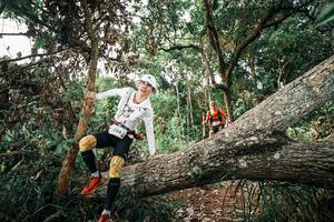 BIB: 
                            <button type="button" onclick="openModal(25528893)" class="btn btn-primary btn-sm float-right btn-popup" data-toggle="modal" data-target=".modal-high-quality">
                        <i class="fas fa-shopping-cart"></i> Add to Cart
                    </button>
                                            <button type="button" onclick="isThisMe(25528893, true)" class="btn btn-success btn-sm float-right btn-popup btn-isme hidden" data-toggle="tooltip" data-placement="bottom" title="นี่คือรูปของคุณใช่ไหม คลิกที่นี่เพื่อเอาเข้าอัลบั้ม">
                        <i class="fas fa-plus"></i> Add to album
                    </button>
                    <button type="button" onclick="isThisMe(25528893, false)" class="btn btn-warning btn-sm float-right btn-popup btn-isnotme hidden">
                        <i class="fas fa-ban"></i> Remove from album
                    </button>