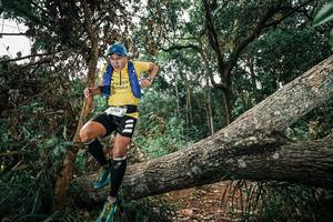 BIB: 
                            <button type="button" onclick="openModal(25555086)" class="btn btn-primary btn-sm float-right btn-popup" data-toggle="modal" data-target=".modal-high-quality">
                        <i class="fas fa-shopping-cart"></i> Add to Cart
                    </button>
                                            <button type="button" onclick="isThisMe(25555086, true)" class="btn btn-success btn-sm float-right btn-popup btn-isme hidden" data-toggle="tooltip" data-placement="bottom" title="นี่คือรูปของคุณใช่ไหม คลิกที่นี่เพื่อเอาเข้าอัลบั้ม">
                        <i class="fas fa-plus"></i> Add to album
                    </button>
                    <button type="button" onclick="isThisMe(25555086, false)" class="btn btn-warning btn-sm float-right btn-popup btn-isnotme hidden">
                        <i class="fas fa-ban"></i> Remove from album
                    </button>