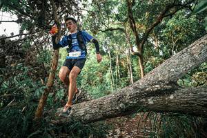 BIB: 
                            <button type="button" onclick="openModal(25526606)" class="btn btn-primary btn-sm float-right btn-popup" data-toggle="modal" data-target=".modal-high-quality">
                        <i class="fas fa-shopping-cart"></i> Add to Cart
                    </button>
                                            <button type="button" onclick="isThisMe(25526606, true)" class="btn btn-success btn-sm float-right btn-popup btn-isme hidden" data-toggle="tooltip" data-placement="bottom" title="นี่คือรูปของคุณใช่ไหม คลิกที่นี่เพื่อเอาเข้าอัลบั้ม">
                        <i class="fas fa-plus"></i> Add to album
                    </button>
                    <button type="button" onclick="isThisMe(25526606, false)" class="btn btn-warning btn-sm float-right btn-popup btn-isnotme hidden">
                        <i class="fas fa-ban"></i> Remove from album
                    </button>