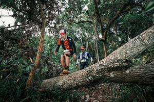 BIB: 
                            <button type="button" onclick="openModal(25527334)" class="btn btn-primary btn-sm float-right btn-popup" data-toggle="modal" data-target=".modal-high-quality">
                        <i class="fas fa-shopping-cart"></i> Add to Cart
                    </button>
                                            <button type="button" onclick="isThisMe(25527334, true)" class="btn btn-success btn-sm float-right btn-popup btn-isme hidden" data-toggle="tooltip" data-placement="bottom" title="นี่คือรูปของคุณใช่ไหม คลิกที่นี่เพื่อเอาเข้าอัลบั้ม">
                        <i class="fas fa-plus"></i> Add to album
                    </button>
                    <button type="button" onclick="isThisMe(25527334, false)" class="btn btn-warning btn-sm float-right btn-popup btn-isnotme hidden">
                        <i class="fas fa-ban"></i> Remove from album
                    </button>