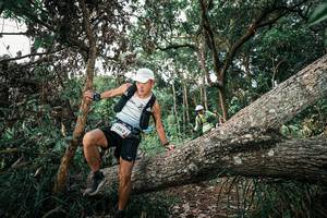 BIB: 
                            <button type="button" onclick="openModal(25528624)" class="btn btn-primary btn-sm float-right btn-popup" data-toggle="modal" data-target=".modal-high-quality">
                        <i class="fas fa-shopping-cart"></i> Add to Cart
                    </button>
                                            <button type="button" onclick="isThisMe(25528624, true)" class="btn btn-success btn-sm float-right btn-popup btn-isme hidden" data-toggle="tooltip" data-placement="bottom" title="นี่คือรูปของคุณใช่ไหม คลิกที่นี่เพื่อเอาเข้าอัลบั้ม">
                        <i class="fas fa-plus"></i> Add to album
                    </button>
                    <button type="button" onclick="isThisMe(25528624, false)" class="btn btn-warning btn-sm float-right btn-popup btn-isnotme hidden">
                        <i class="fas fa-ban"></i> Remove from album
                    </button>