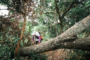 BIB: 
                            <button type="button" onclick="openModal(25545791)" class="btn btn-primary btn-sm float-right btn-popup" data-toggle="modal" data-target=".modal-high-quality">
                        <i class="fas fa-shopping-cart"></i> Add to Cart
                    </button>
                                            <button type="button" onclick="isThisMe(25545791, true)" class="btn btn-success btn-sm float-right btn-popup btn-isme hidden" data-toggle="tooltip" data-placement="bottom" title="นี่คือรูปของคุณใช่ไหม คลิกที่นี่เพื่อเอาเข้าอัลบั้ม">
                        <i class="fas fa-plus"></i> Add to album
                    </button>
                    <button type="button" onclick="isThisMe(25545791, false)" class="btn btn-warning btn-sm float-right btn-popup btn-isnotme hidden">
                        <i class="fas fa-ban"></i> Remove from album
                    </button>