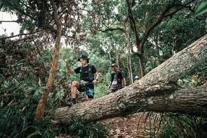 BIB: 
                            <button type="button" onclick="openModal(25529528)" class="btn btn-primary btn-sm float-right btn-popup" data-toggle="modal" data-target=".modal-high-quality">
                        <i class="fas fa-shopping-cart"></i> Add to Cart
                    </button>
                                            <button type="button" onclick="isThisMe(25529528, true)" class="btn btn-success btn-sm float-right btn-popup btn-isme hidden" data-toggle="tooltip" data-placement="bottom" title="นี่คือรูปของคุณใช่ไหม คลิกที่นี่เพื่อเอาเข้าอัลบั้ม">
                        <i class="fas fa-plus"></i> Add to album
                    </button>
                    <button type="button" onclick="isThisMe(25529528, false)" class="btn btn-warning btn-sm float-right btn-popup btn-isnotme hidden">
                        <i class="fas fa-ban"></i> Remove from album
                    </button>