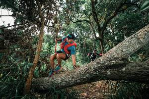 BIB: 
                            <button type="button" onclick="openModal(25548711)" class="btn btn-primary btn-sm float-right btn-popup" data-toggle="modal" data-target=".modal-high-quality">
                        <i class="fas fa-shopping-cart"></i> Add to Cart
                    </button>
                                            <button type="button" onclick="isThisMe(25548711, true)" class="btn btn-success btn-sm float-right btn-popup btn-isme hidden" data-toggle="tooltip" data-placement="bottom" title="นี่คือรูปของคุณใช่ไหม คลิกที่นี่เพื่อเอาเข้าอัลบั้ม">
                        <i class="fas fa-plus"></i> Add to album
                    </button>
                    <button type="button" onclick="isThisMe(25548711, false)" class="btn btn-warning btn-sm float-right btn-popup btn-isnotme hidden">
                        <i class="fas fa-ban"></i> Remove from album
                    </button>