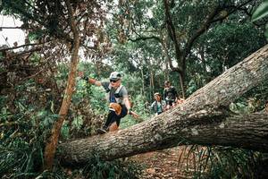 BIB: 
                            <button type="button" onclick="openModal(25546456)" class="btn btn-primary btn-sm float-right btn-popup" data-toggle="modal" data-target=".modal-high-quality">
                        <i class="fas fa-shopping-cart"></i> Add to Cart
                    </button>
                                            <button type="button" onclick="isThisMe(25546456, true)" class="btn btn-success btn-sm float-right btn-popup btn-isme hidden" data-toggle="tooltip" data-placement="bottom" title="นี่คือรูปของคุณใช่ไหม คลิกที่นี่เพื่อเอาเข้าอัลบั้ม">
                        <i class="fas fa-plus"></i> Add to album
                    </button>
                    <button type="button" onclick="isThisMe(25546456, false)" class="btn btn-warning btn-sm float-right btn-popup btn-isnotme hidden">
                        <i class="fas fa-ban"></i> Remove from album
                    </button>